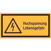 Warnzeichen "Hochspannung Lebensgefahr" [W012]