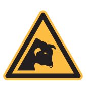 Warnzeichen "Warnung vor Stier" [W034], ISO 7010