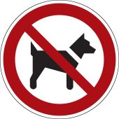 Verbotsschild "Mitführend von Hunden verboten" [P021], ASR A1.3 / ISO 7010