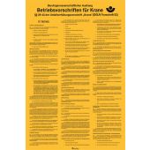 Betriebsvorschriften für Krane, gelb / schwarz, Kunststoff, 200 x 300 x 1 mm, DGUV 52