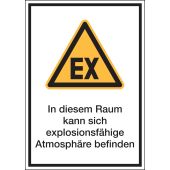 Warnzeichen "In diesem Raum kann sich explosionsfähige Atmosphäre befinden" [D-W021], ASR A1.3